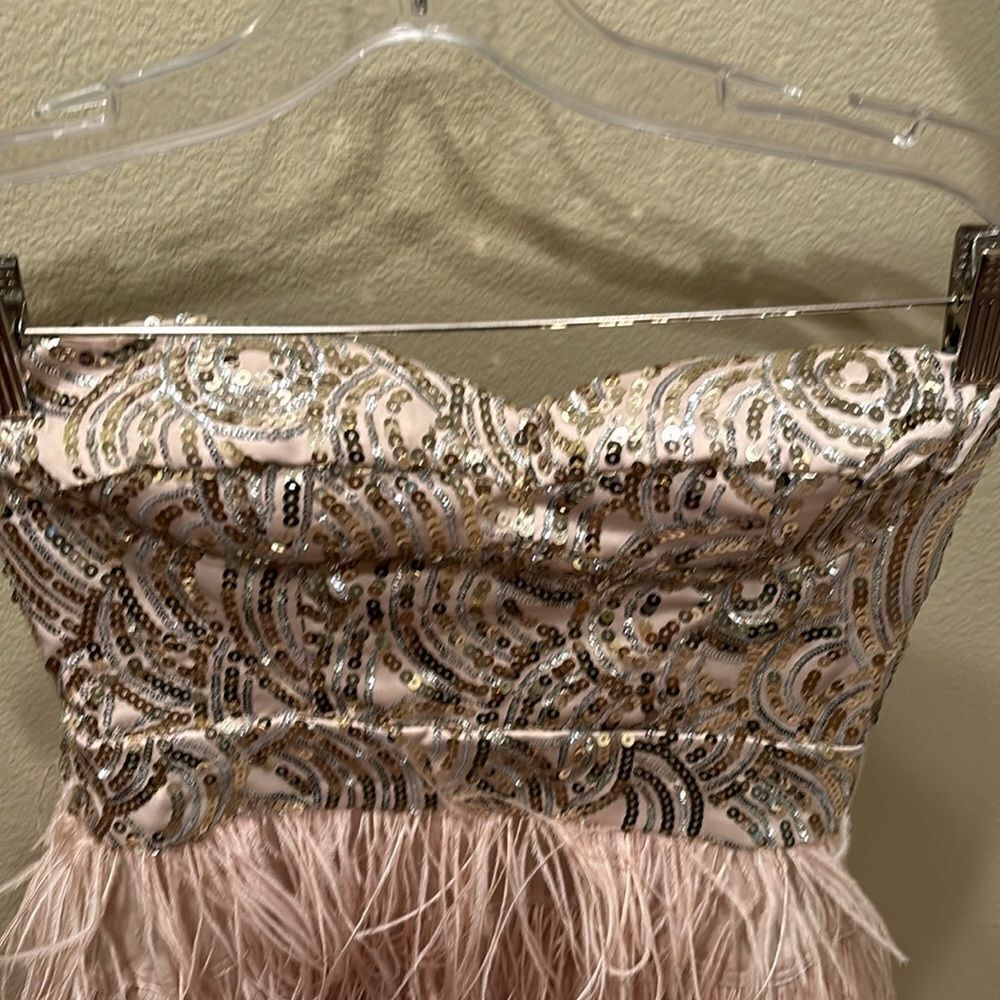 Bebe strapless fringe and sequin dress. Top is gold and the fringe is light pink - Picture 6 of 11